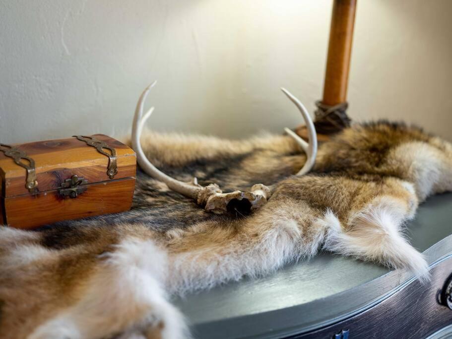 Stonegate Lodge Bear'S Den Kitchen, Pool, Firepit, Wifi ,Smart Tvs ユリーカ・スプリングス エクステリア 写真